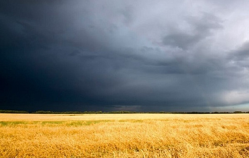 Прогноз предвещает жару и ураганы. Как спасать урожай?