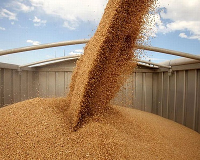 Оценки нового урожая растут, ориентир экспортных цен на пшеницу в июле - $200/т